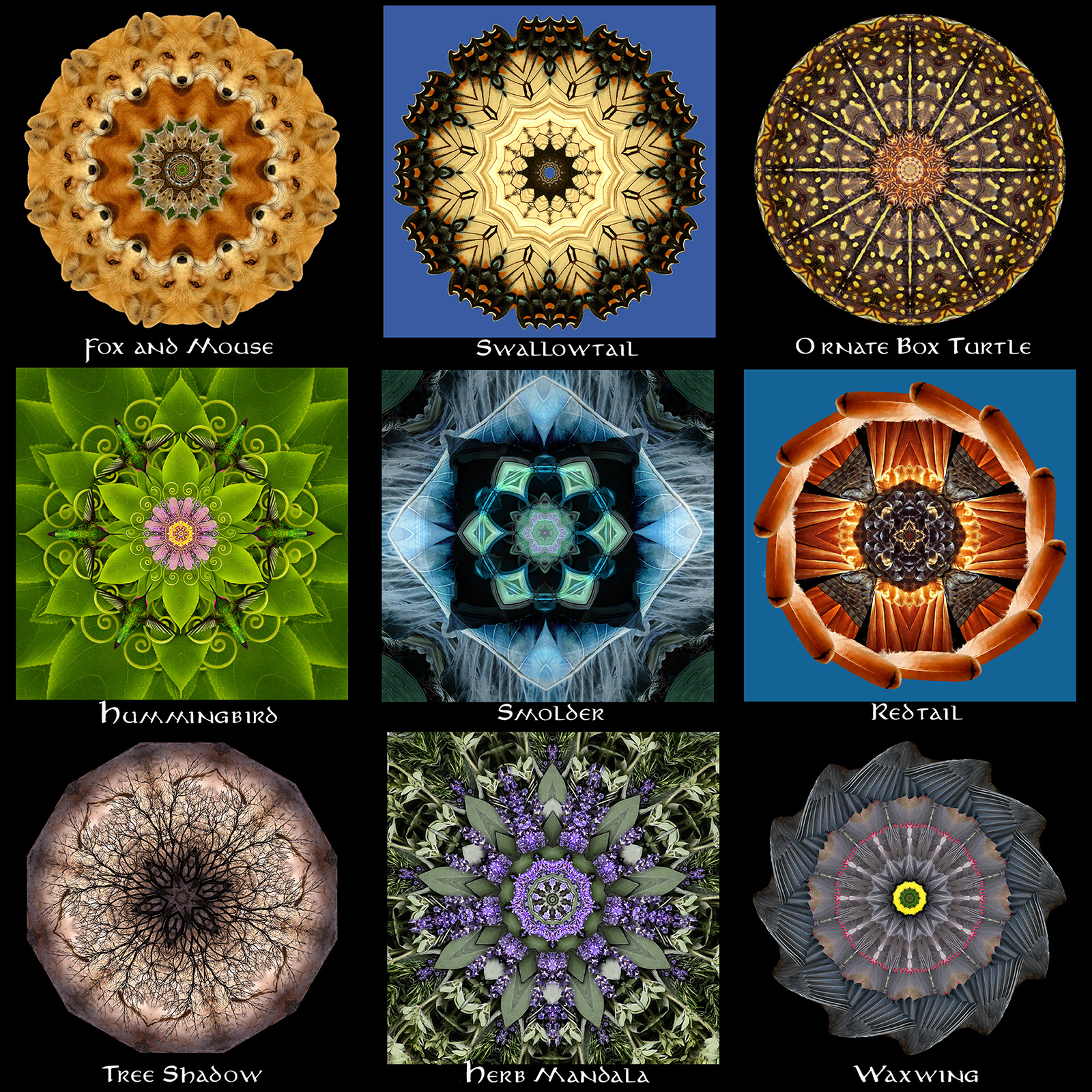 Mandalas 1