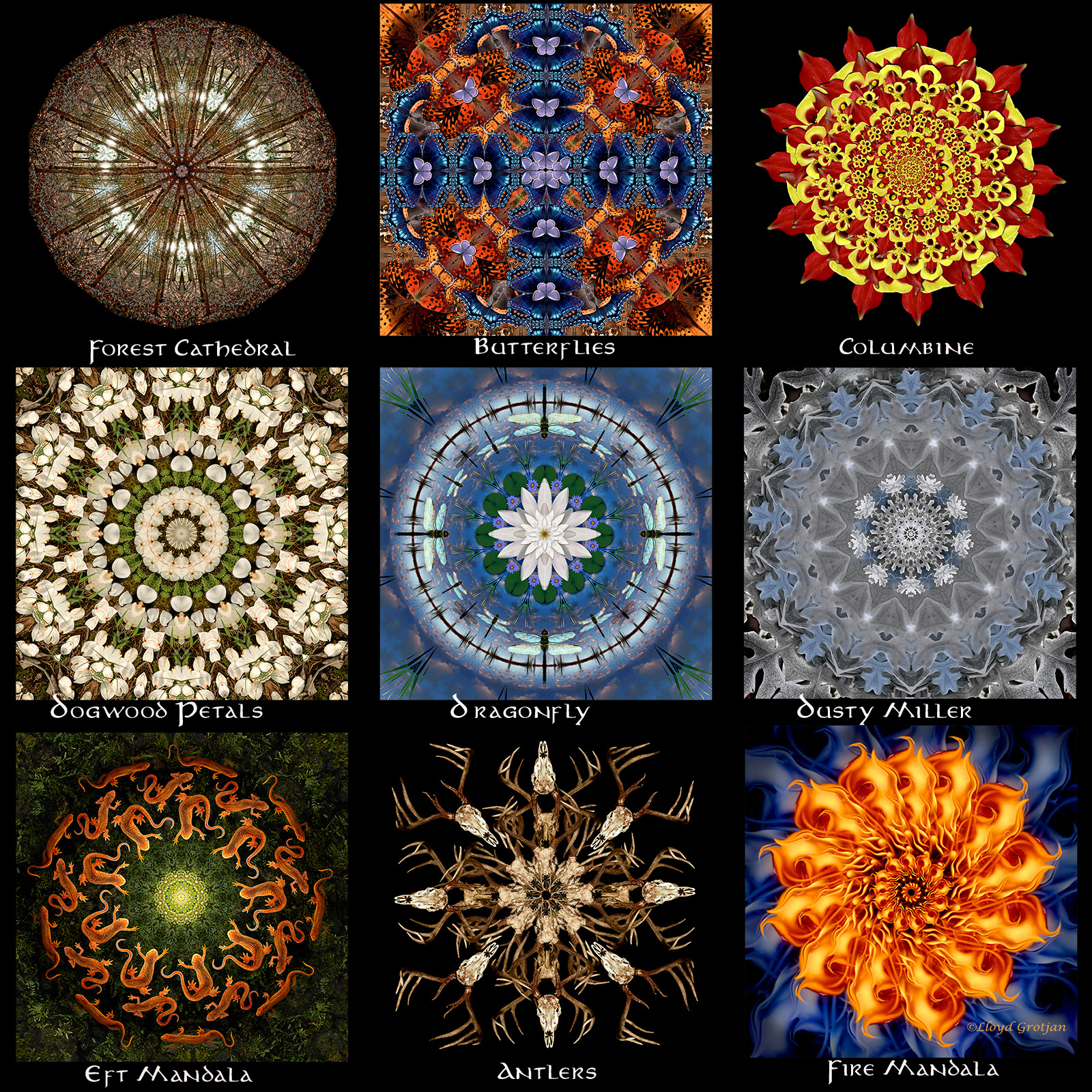 Mandalas 2