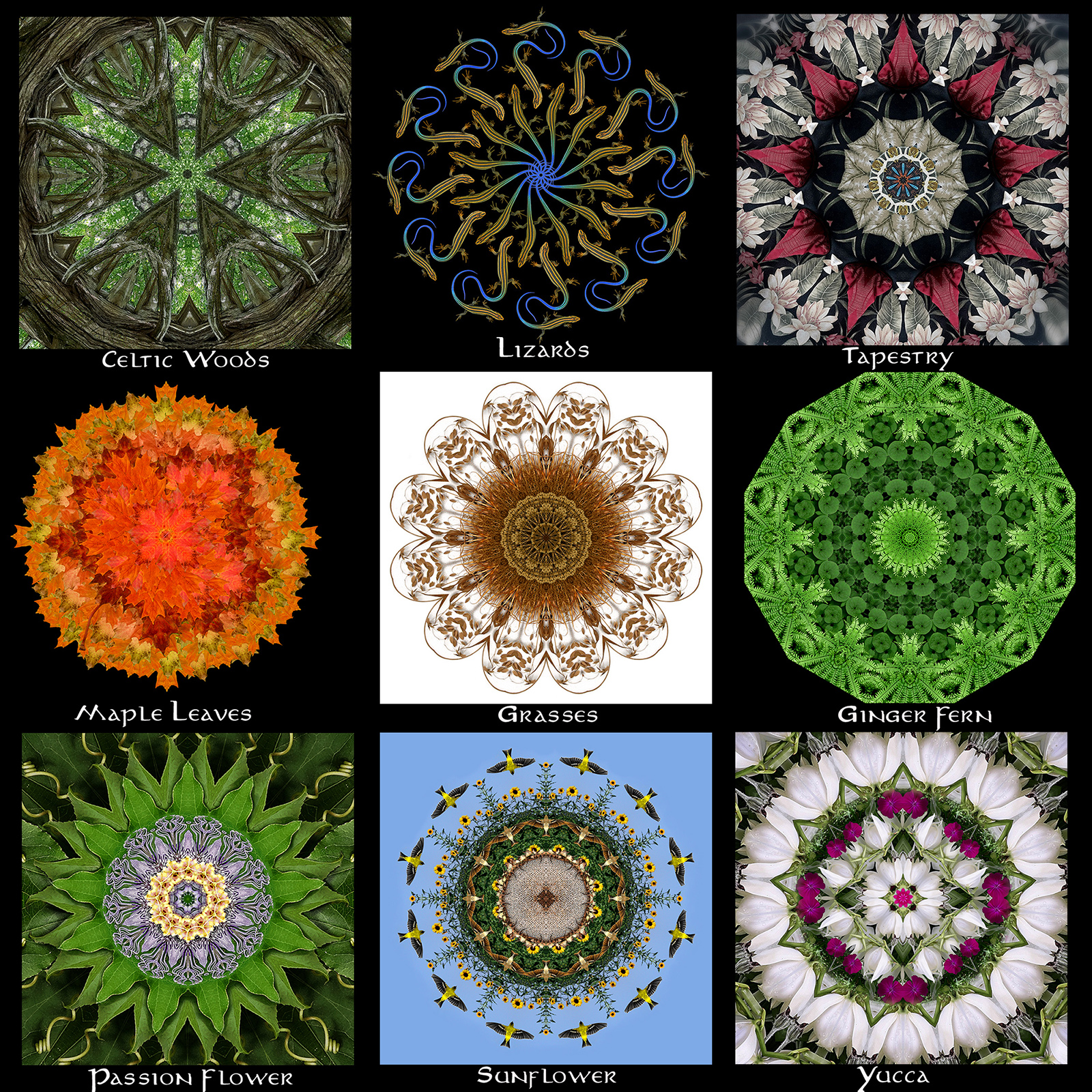 Mandalas 3