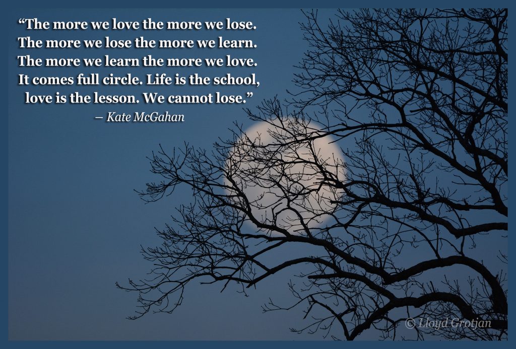 Moon Branches Quote 9564